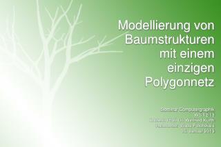 Modellierung von Baumstrukturen mit einem einzigen Polygonnetz Seminar Computergraphik WS 12/13