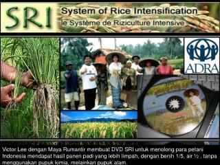 Victor Lee dengan Maya Rumantir membuat DVD SRI untuk menolong para petani