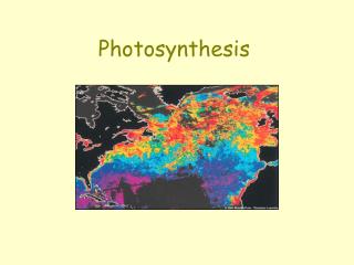 Photosynthesis