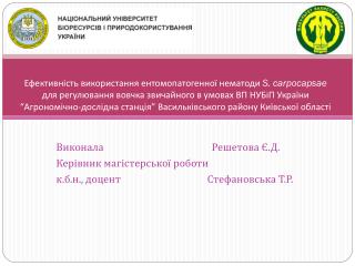 Виконала Решетова Є.Д. Керівник магістерської роботи