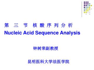 第 三 节 核 酸 序 列 分 析 Nucleic Acid Sequence Analysis 钟树荣副教授 昆明医科大学法医学院