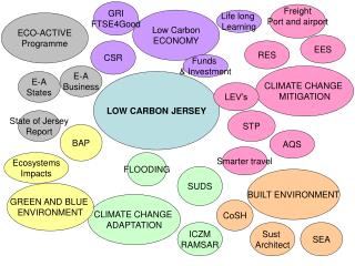 LOW CARBON JERSEY