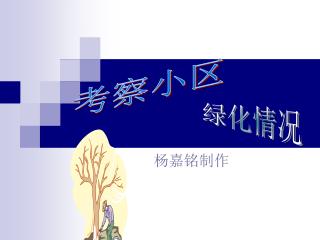 杨嘉铭制作