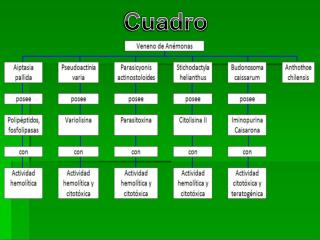 Cuadro