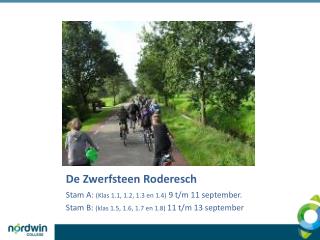 De Zwerfsteen Roderesch