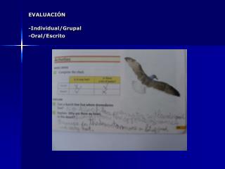 EVALUACIÓN -Individual/Grupal -Oral/Escrito