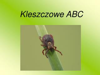 Kleszczowe ABC