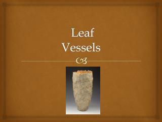 Leaf Vessels