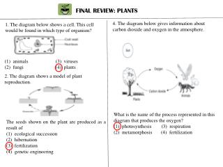 FINAL REVIEW: PLANTS