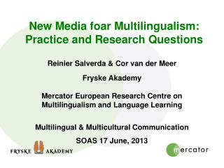 New Media foar Multilingualism: Practice and Research Questions