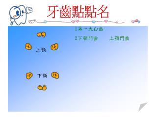 1 第一大臼齒 2 下顎門齒 上顎門齒