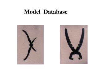 Model Database