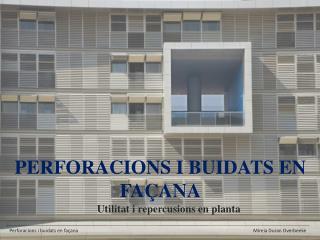 PERFORACIONS I BUIDATS EN FAÇANA