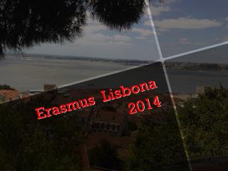 Erasmus Lisbona 2014