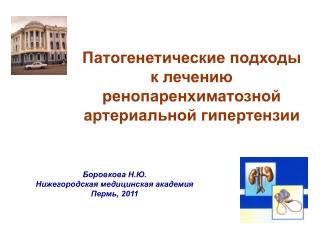 Патогенетические подходы к лечению ренопаренхиматозной артериальной гипертензии