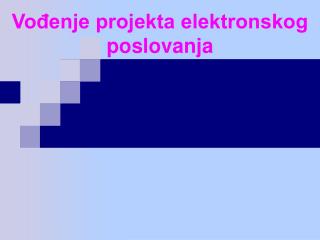 Vođenje projekta elektronskog poslovanja