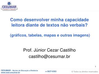 Prof. Júnior Cezar Castilho castilho@cesumar.br