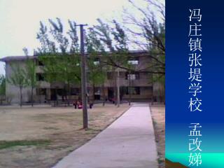 冯庄镇张堤学校