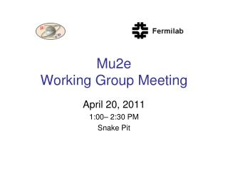 Mu2e Working Group Meeting