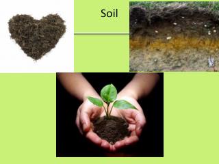 Soil