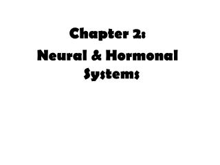 Chapter 2: Neural &amp; Hormonal Systems