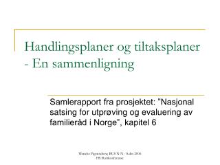 Handlingsplaner og tiltaksplaner - En sammenligning