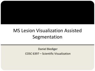 MS Lesion Visualization Assisted Segmentation