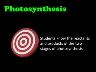 Photosynthesis