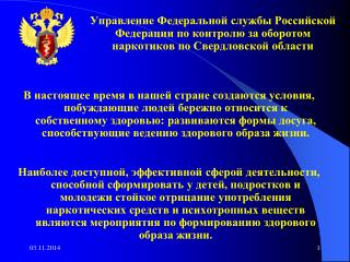 Структура наркорынка: