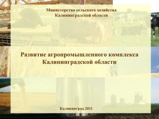 Развитие агропромышленного комплекса Калининградской области