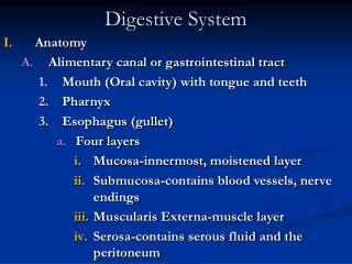 Digestive System