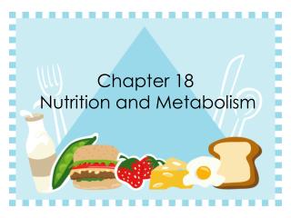 Chapter 18 Nutrition and Metabolism