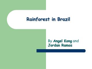 Rainforest in Brazil