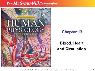 Chapter 13
