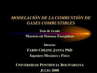 MODELACIÓN DE LA COMBUSTIÓN DE GASES COMBUSTIBLES