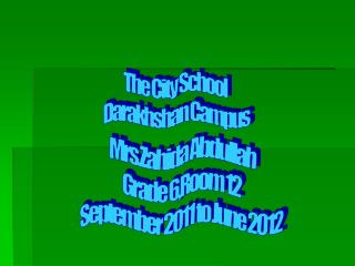 The City School Darakhshan Campus