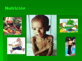 Nutrición