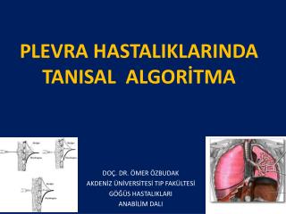 PLEVRA HASTALIKLARINDA TANISAL ALGORİTMA