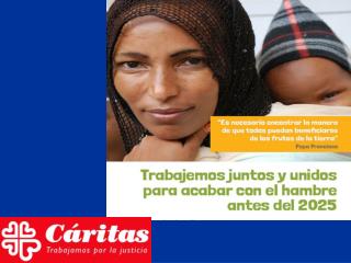 ¿Cuáles son las ayudas que Cáritas ofrece?