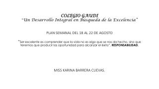 COLEGIO GAUDI “ Un Desarrollo Integral en Búsqueda de la Excelencia”