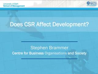 Does CSR Affect Development?
