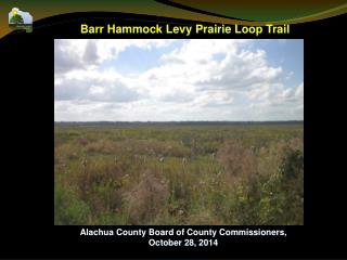 Barr Hammock Levy Prairie Loop Trail