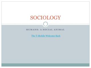 SOCIOLOGY