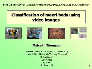 Classification of maerl beds using video images