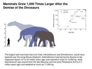 Mammals Grew 1,000 Times Larger After the Demise of the Dinosaurs