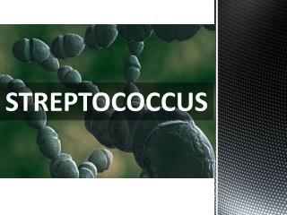 STREPTOCOCCUS