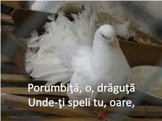 Porumbi ţă, o, drăguţă Unde-ţi speli tu, oare,