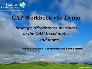 CAP Workbook v6b Demo Strategy effectiveness measures in the CAP Excel tool… … and more!