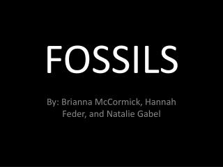 FOSSILS