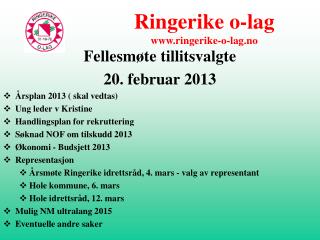 Fellesmøte tillitsvalgte 20. februar 2013 Årsplan 2013 ( skal vedtas) Ung leder v Kristine